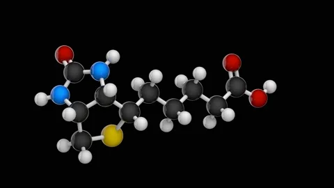 Vitamin B7(biotin). Seamless loop. Stock Footage 151930436