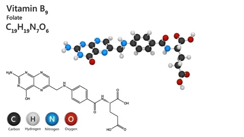 Vitamin B9 (Folate). Seamless loop. Stock Footage 152406056