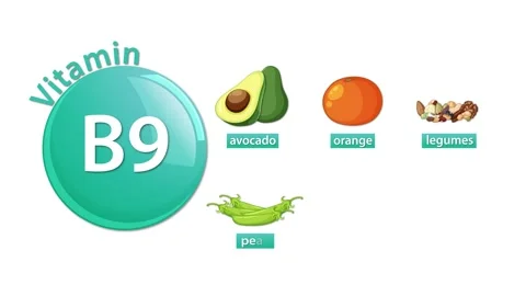 Vitamin B9 Sources Animation Vídeos de archivo 324838988