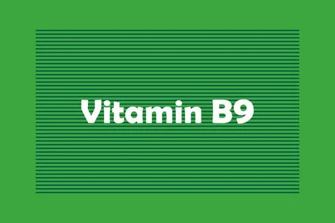 Vitamin B9 typography text vector design Stock Illustration
