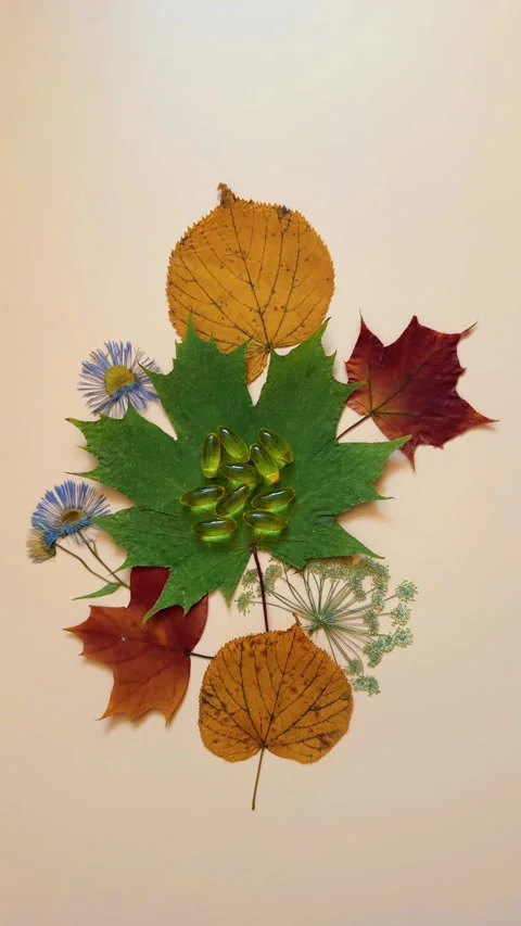 Vitamin D Capsules on Autumn Leaf Composition Stock Footage 337030255