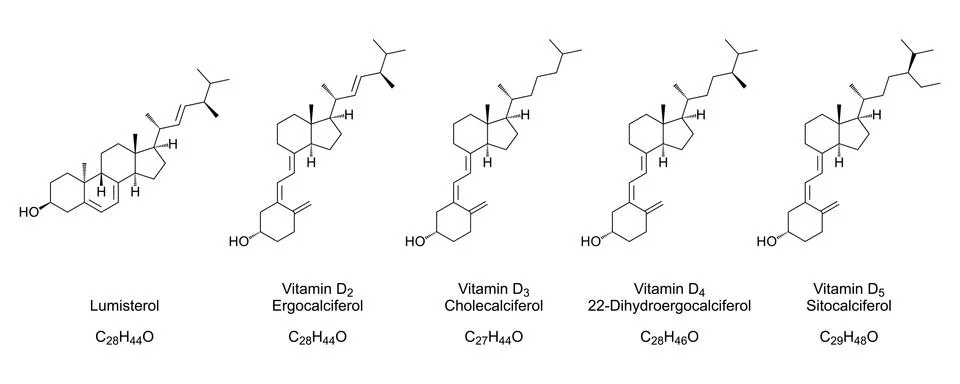 Vitamin D forms, chemical structures and skeletal formulas Stock Illustration