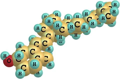 Vitamin D molecular structure isolated on white Stock Illustration