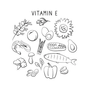 Vitamin E tocopherol. Groups of healthy products containing vitamins. Set of Stock Illustration