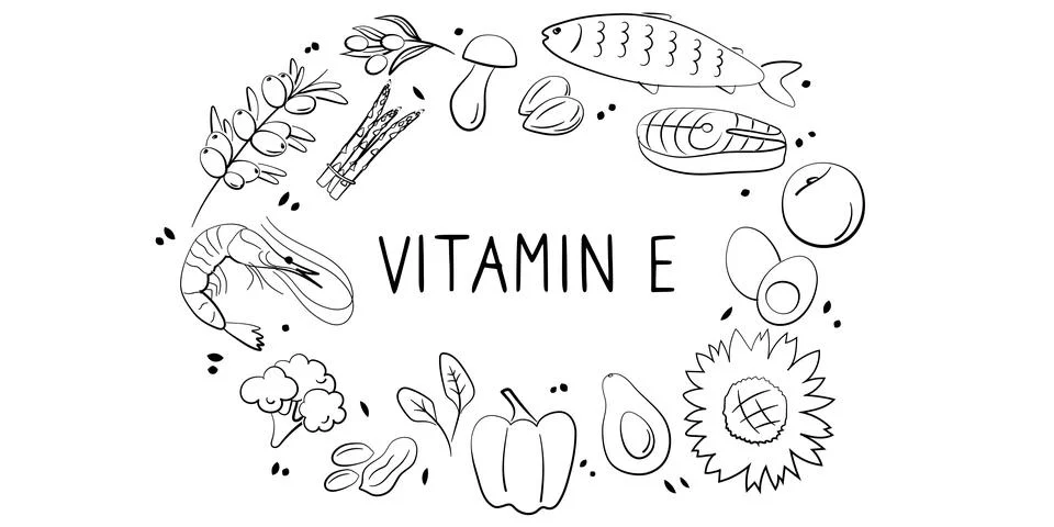 Vitamin E tocopherol. Groups of healthy products containing vitamins. Set of  Stock Illustration