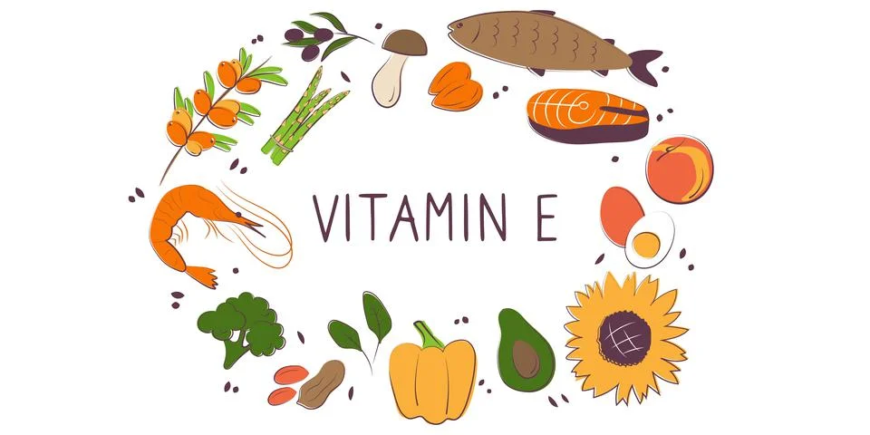 Vitamin E tocopherol. Groups of healthy products containing vitamins. Set of Stock Illustration