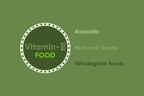 Vitamin E type Food. Avocado, Nuts and seeds, and Wholegrain foods Stock Illustration