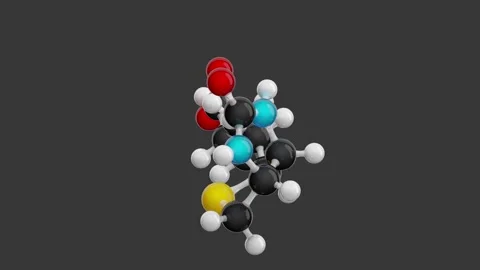 Vitamin H. 3d model of molecule.  C10H16N2O3S. Gray background. 3D render Video stock 290770826