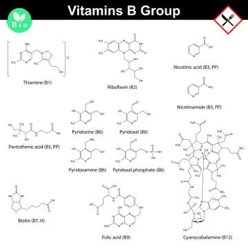Vitamins of b group Ilustración de archivo