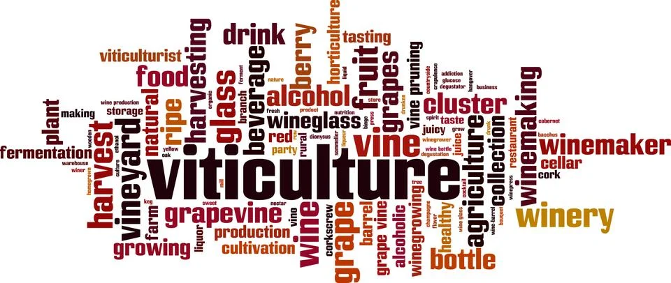 Viticulture word cloud Illustrazione stock