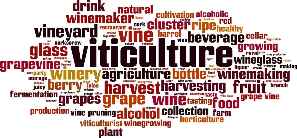 Viticulture word cloud Stock Illustration