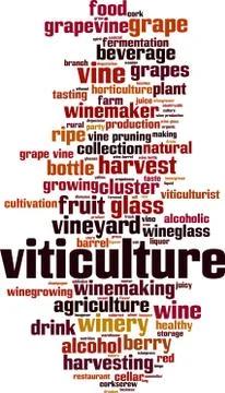 Viticulture word cloud Stock Illustration