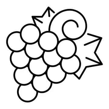 Vitis grape icon, outline style Stock Illustration