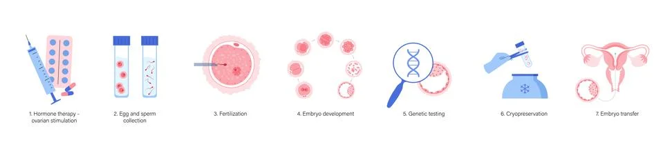 In vitro fertilisation concept 库存插图