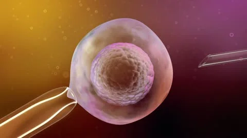 In Vitro Fertilization Video stock 12153176