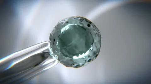 In vitro fertilization 스톡 동영상 21978189