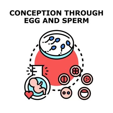In vitro fertilization process creating new life concept Stock Illustration