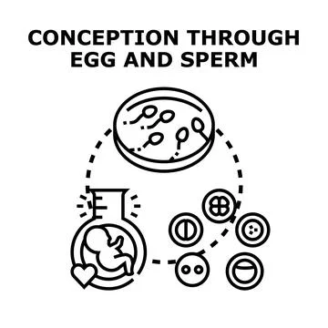 In vitro fertilization process creating new life concept Stock Illustration