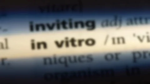 In vitro word in a dictionary. Video stock 99560965