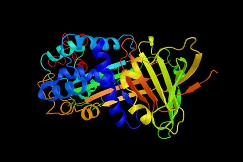 Vitronectin, a glycoprotein speculated to be involved in tumor malignancy w.. Stock Illustration