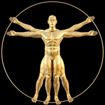Vitruvian Stock Illustration