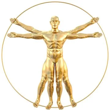 Vitruvian Stock Illustration