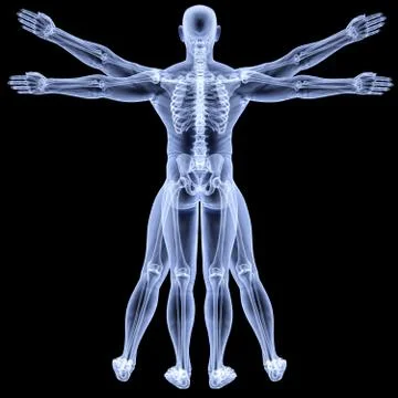 Vitruvian Illustrazione stock