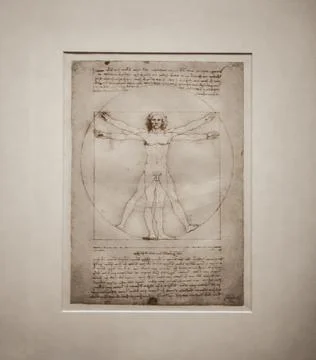 Vitruvian man is a famous authentic drawing by Leonardo da Vinci from the ann Stock Illustration