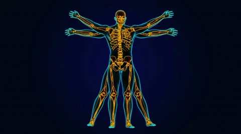 Vitruvian man Видео 33804090