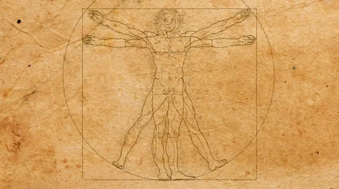 Vitruvian Man (HD) Stock Footage 25871972