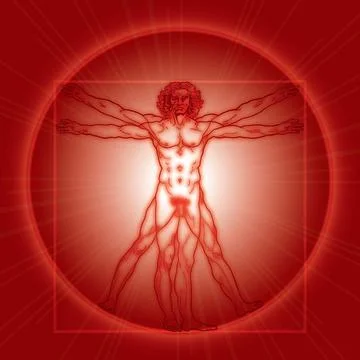 The Vitruvian man (Homo vitruviano). Red version. «HOMO VITRUVIANO». The V. Stock Photos
