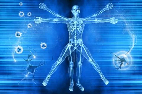 Vitruvian man Stock Illustration