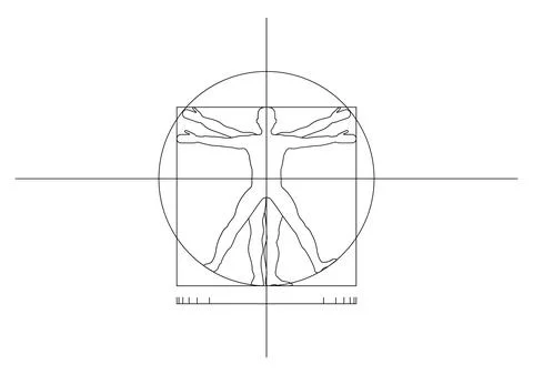 Vitruvian man proportion schema line art blueprint design white Stock Illustration