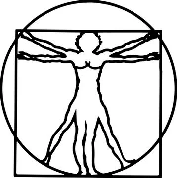 Vitruvian man at white background Stock-Illustration