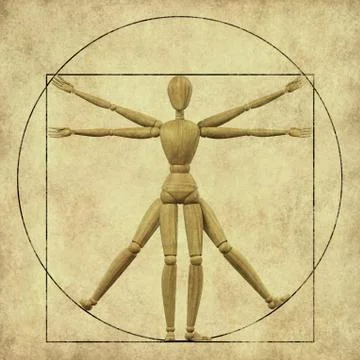 Vitruvian mannequin Stock Illustration