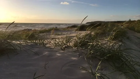 Vitte Hiddensee am Strand Vídeos de archivo 77241357