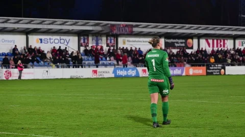 Vittsjö GIK vs IF Brommapojkarna. Goalkeeper Anna Koivunen. Stock Footage 290125900