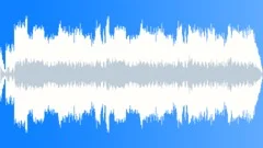 Viva VidaStock Music