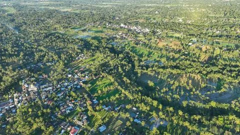 Vivid aerial perspective of Lombok patchwork rice terraces and palm groves,.. Stockfoto's