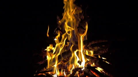 Vivid burning bonfire close up at evening, 8x 240 fps slow motion Stock Footage 86281095