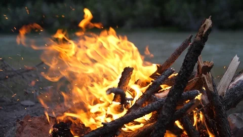 Vivid burning bonfire close up at evening. Slow motion, 180fps. Fire burning on 動画素材 95571875
