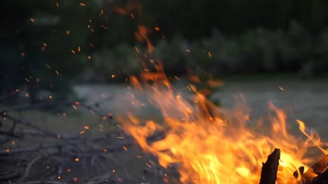 Vivid burning bonfire close up at evening. Slow motion, 180fps. Fire burning on Stock Footage 95572239