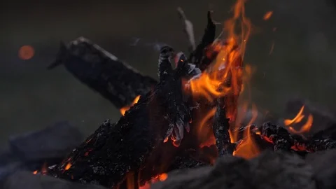 Vivid burning bonfire close up at evening. Slow motion, 180fps. Sparks flying Video stock 95573053