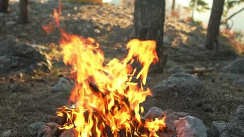 Vivid Campfire at Forest Dawn. Stock Footage 270533997