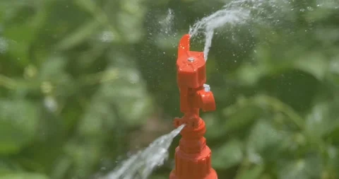 Vivid close-up sprinkler irrigation system. Video stock 160007530
