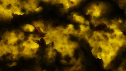 Vivid closeup top view of avocado smash rotating in 4K. Stock Footage 86098123