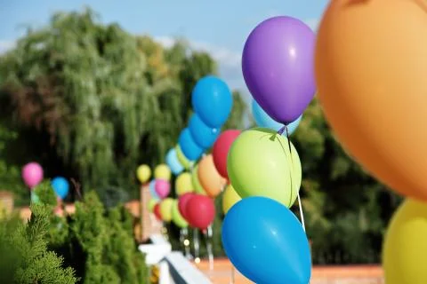 Vivid color balloons on green outdoor background Stock Photos