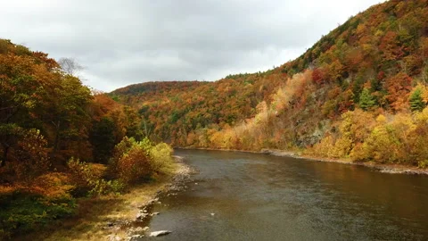 Vivid Fall Foliage Forest surround Delaware River, Port Jervis NY Hawks Nest Stock Footage 141960832