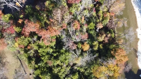 Vivid fall foliage over White Rock Creek flows across upper quadrant Stock Footage 327538430