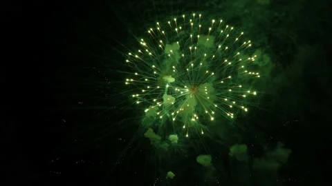 Vivid Fireworks Stock Footage 214276258